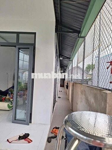 1.79 tỏi / huỳnh thụ hiếu bớt lộc