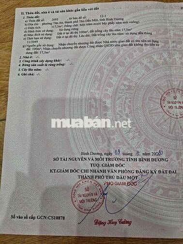 1.79 tỏi / huỳnh thụ hiếu bớt lộc