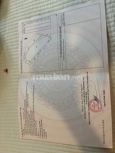  Bán 4561m2 , xe máy tới đất ,giá 650.000 đ/1m2, xã Vĩnh Thanh 