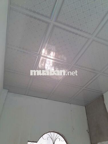 cho thuê nhà nguyên căn chính chủ đường số 9