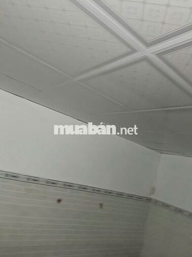 cho thuê nhà nguyên căn chính chủ đường số 9