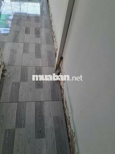 cho thuê nhà nguyên căn chính chủ đường số 9