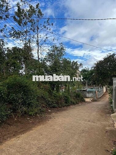 chính chủ cần bán đất mt bêtông gấp