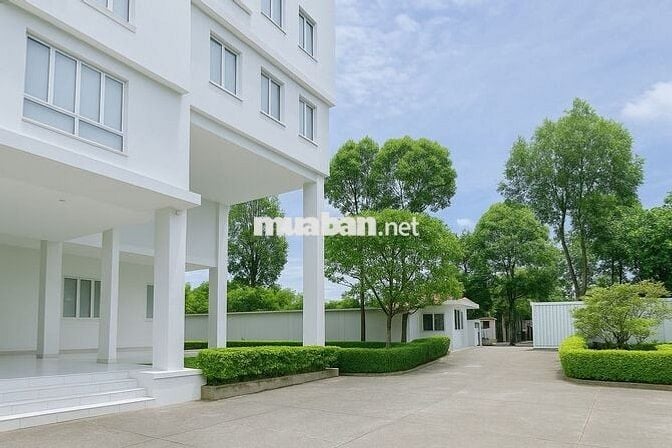 Cho thuê Căn hộ dịch vụ 56m2 Full nội thất tại Thủ Dầu Một, Bình Dương