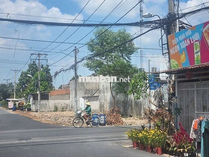 490TR/109M2 - 100% THỔ CƯ MẶT TIỀN ĐƯỜNG SỐ 29 TÂN THÔNG HỘI, SỔ RIÊNG