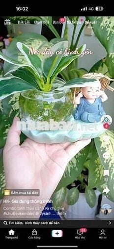 ✅ ĐẤT MẶT TIỀN ĐƯỜNG NHỰA , HOÀ KHÁNH , BMT