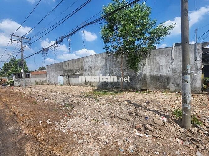 490TR/109M2 - 100% THỔ CƯ MẶT TIỀN ĐƯỜNG SỐ 29 TÂN THÔNG HỘI, SỔ RIÊNG