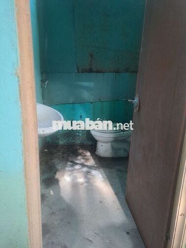 Cho thuê mặt bắng kinh danh an phú đông  quận 12
