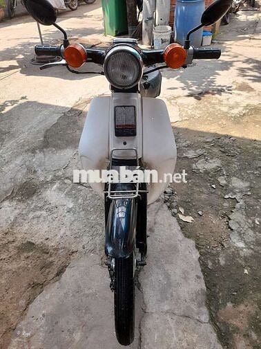 Honda cup 81.50cc