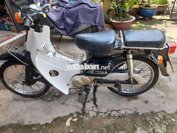 Honda cup 81.50cc