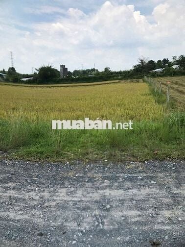 Cần bán lô đất vườn 918m2, sổ sẵn sang tên công chứng ngay 1.5 tỷ