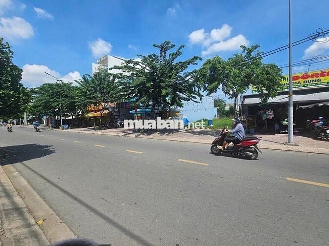 630Tr/162m2 BÁN NGỘP ĐẤT ĐƯỜNG LIÊU BÌNH HƯƠNG TÂN THÔNG HỘI, SHR