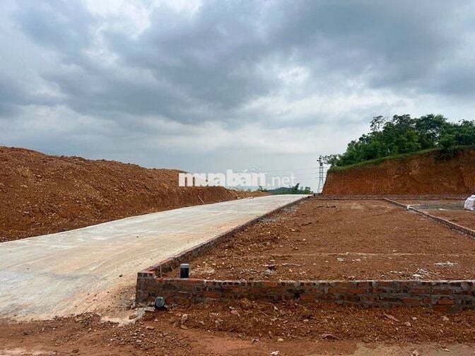 CHỈ 520tr SỞ HỮU NGAY ĐẤT FULL THỔ CƯ SẴN SỔ GẦN VƯỜN VUA PHÚ THỌ