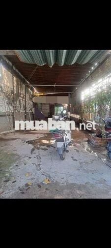 Cho thuê mặt bắng kinh danh an phú đông  quận 12