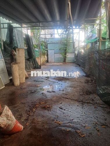 Cho thuê mặt bắng kinh danh an phú đông  quận 12