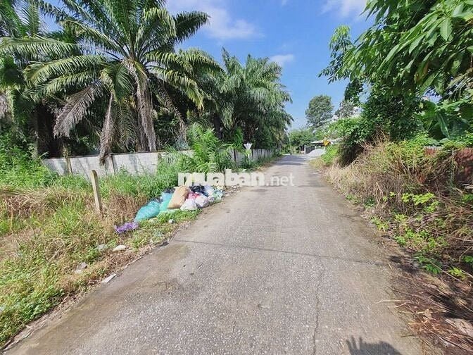 Đất 1/ Nguyễn Thị Rành - Củ Chi : 117m2 ( 5x23 ) . Giá 1 tỷ 300 triệu