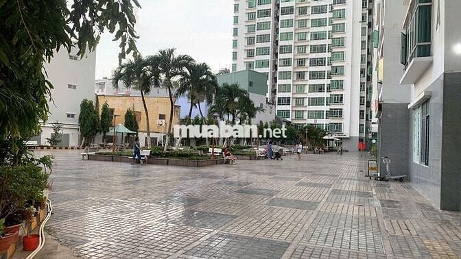 Cần bán căn hộ Hoàng Anh 2 Trần Xuân Soạn Q7.