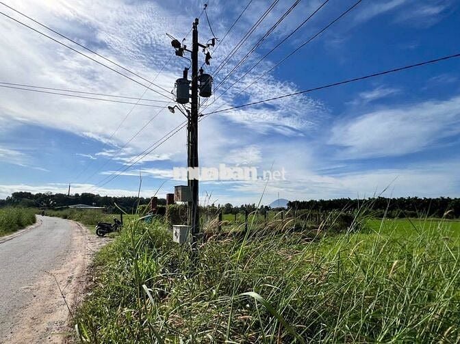 Cần Bán Lô Đất Vị Trí Đẹp Tại Ấp Thạnh Nghĩa, Xã Tân Châu, Tây Ninh