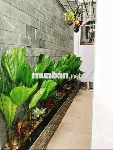 Bán  nhà Hoà xuân Khu Cồn Dầu mở bán