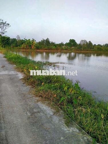 Bán đất mặt tiền thôn nhị khê,hoàng long,Phú Xuyên