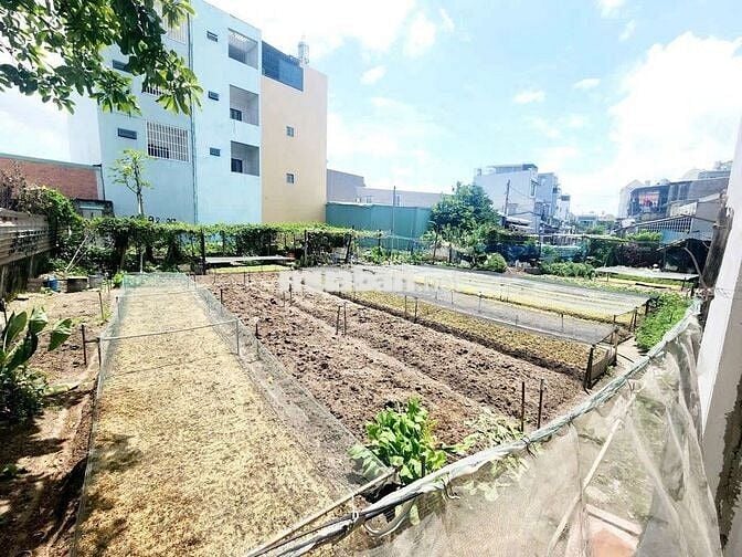 Bán lô đất shr 341m thổ cư, giá 16 tỷ tl, trần thị hè ,Q12