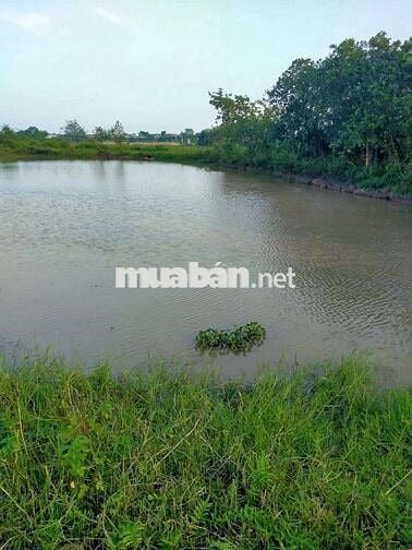 Bán đất mặt tiền thôn nhị khê,hoàng long,Phú Xuyên