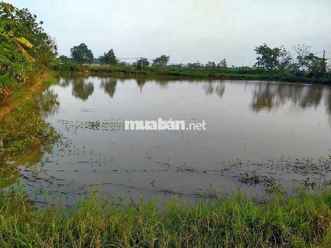 Bán đất mặt tiền thôn nhị khê,hoàng long,Phú Xuyên