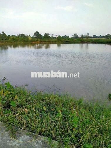 Bán đất mặt tiền thôn nhị khê,hoàng long,Phú Xuyên