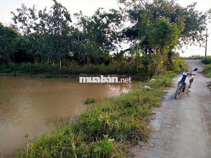 Bán đất mặt tiền thôn nhị khê,hoàng long,Phú Xuyên