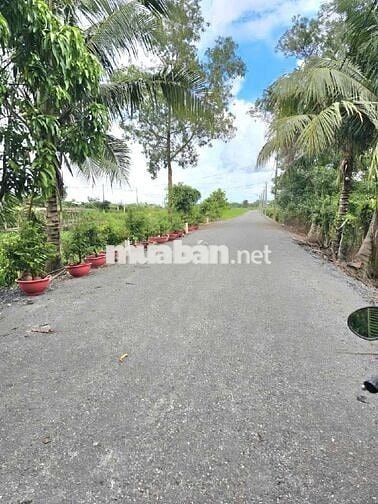 Bán đất ngang 37M dài 150M ( TDT 5580M2)