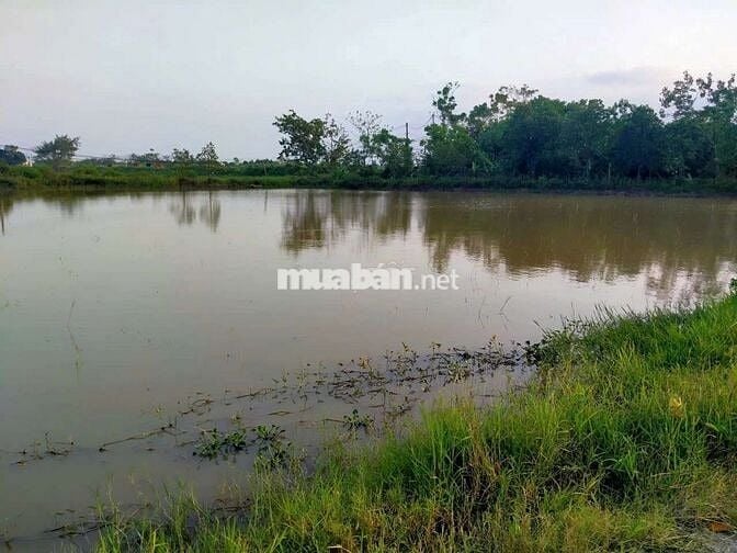 Bán đất mặt tiền thôn nhị khê,hoàng long,Phú Xuyên