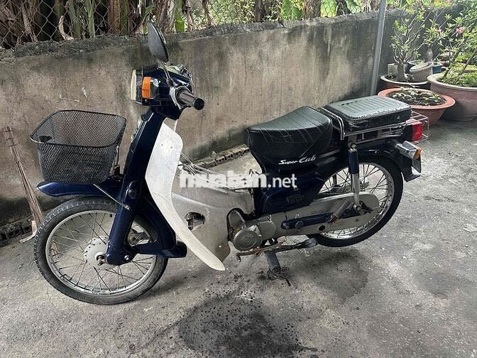 Cub 49cc Học Sinh