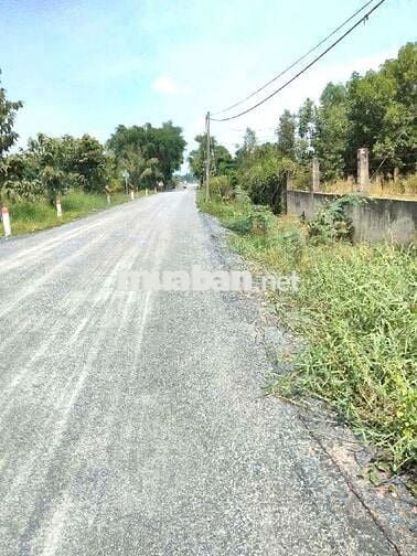 Bán đất ngang 37M dài 150M ( TDT 5580M2)