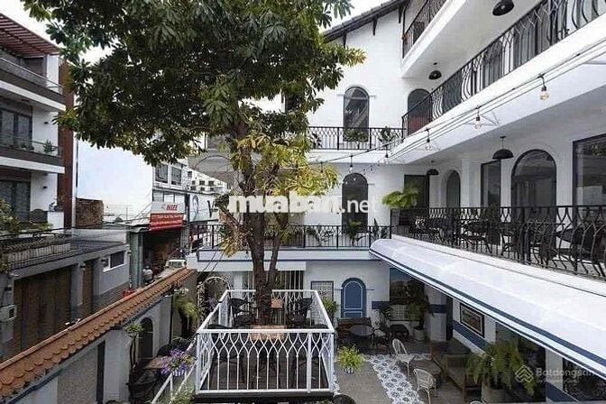 Nhà mặt tiền khu đường hoa - Phú Nhuận diện tích khủng giá 40tr