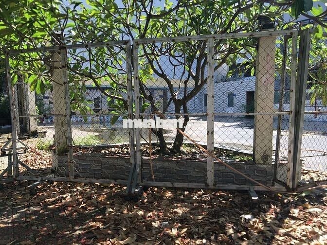 🏡 Thuê Ngay 2MT 20x20m góc Đường số 32 ,BTĐ-B ,Bình Tân, HCM rộng-đẹp
