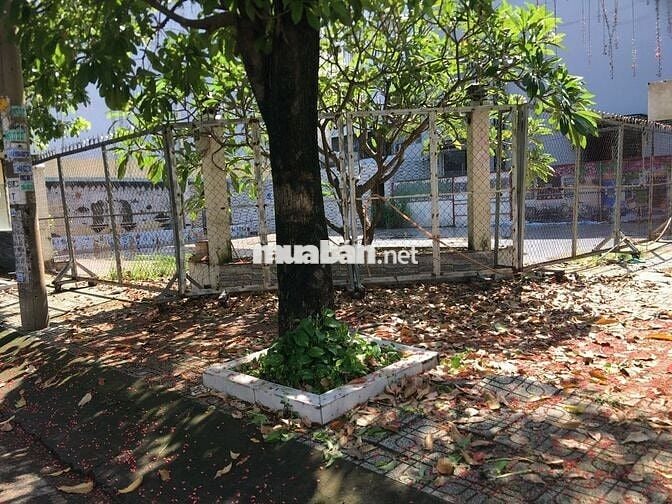 🏡 Thuê Ngay 2MT 20x20m góc Đường số 32 ,BTĐ-B ,Bình Tân, HCM rộng-đẹp