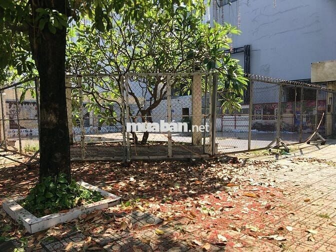 🏡 Thuê Ngay 2MT 20x20m góc Đường số 32 ,BTĐ-B ,Bình Tân, HCM rộng-đẹp