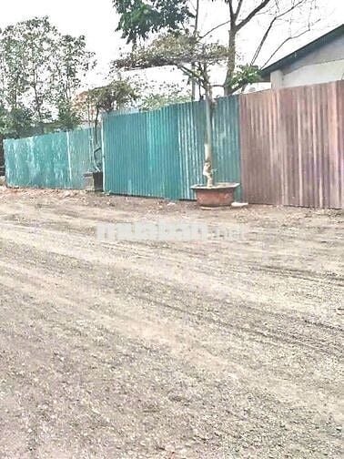 Bán 230m2, mặt tiền 11m, nhà 90m2, gần cầu THĐ. Mặt đường Giếng Nhật