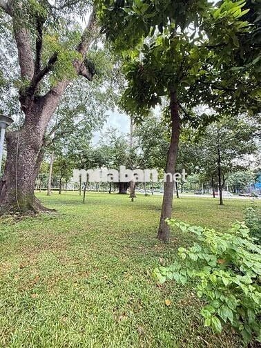 🔴HXH số 6 đặng văn sâm ngay sân bay TSN nhỉnh 11 đồng