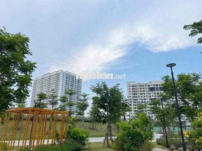 BÁN CĂN HỘ FPT PLAZA 1 GIÁ TỐT VIEW BIỂN THOÁNG ĐẸP