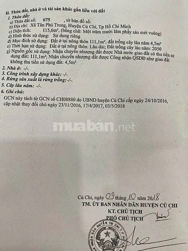 BÁN NHANH NHÀ CẤP 4 – TÂN PHÚ TRUNG, CỦ CHI – CHỈ 720 TRIỆU, SỔ HỒNG