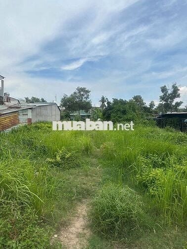 Chính chủ cần bán đất ngay đường Trần Văn Giàu Bình Chánh chỉ 2tỷ4