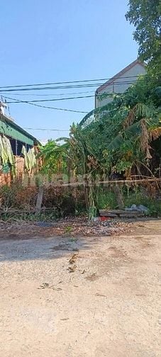 BÁN ĐẤT THỔ CƯ CHÍNH CHỦ – THANH GIANG, THANH CHƯƠNG, NGHỆ AN 