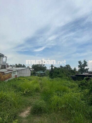 Chính chủ cần bán đất ngay đường Trần Văn Giàu Bình Chánh chỉ 2tỷ4