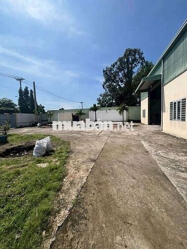 Xưởng cho thuê Xuân Thới thượng hóc môn
