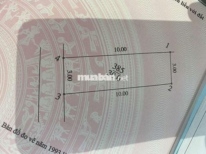 Bán đất cực hiếm tại Phường Bồ Đề – Long Biên, Hà Nội