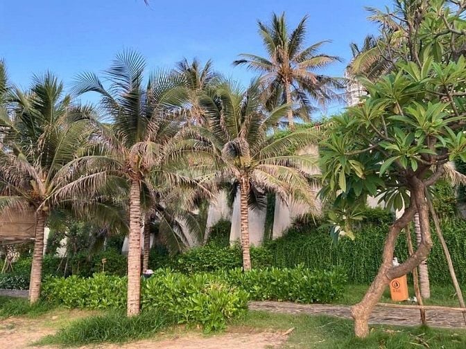 🏝 2N1Đ NGHỈ DƯỠNG 5* TẠI MŨI NÉ CHỈ VỚI 700k - 2NL