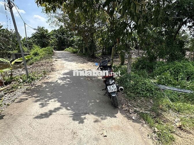 🌈 1200m ấp 2 Nhựt Chánh(có sẵn 300m thổ) - đường thông xe tải