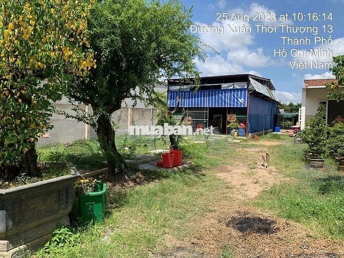 Đất Xuân Thới Thượng mặt tiền đường