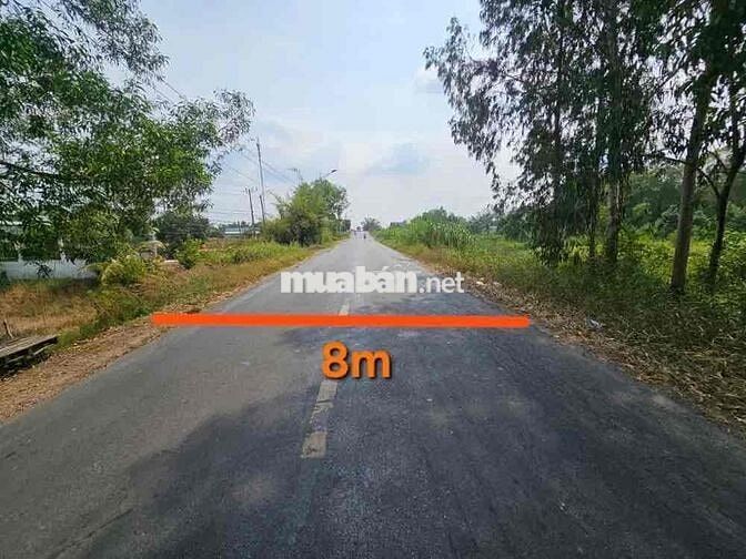 Thanh lý lô đất full thổ mặt tiền Quốc lộ 62, Bình Hiệp, Kiến Tường